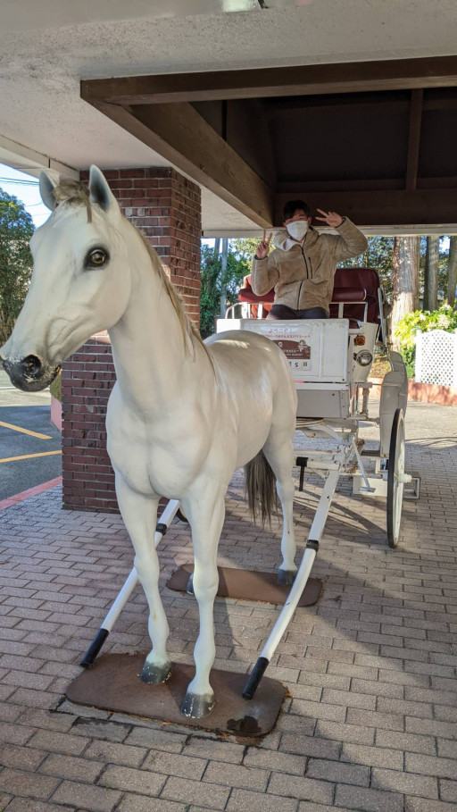 785c12cc2a5a7b0a401c8d9beaeb694f_fd66644ff3b7403156b52e48e160c272